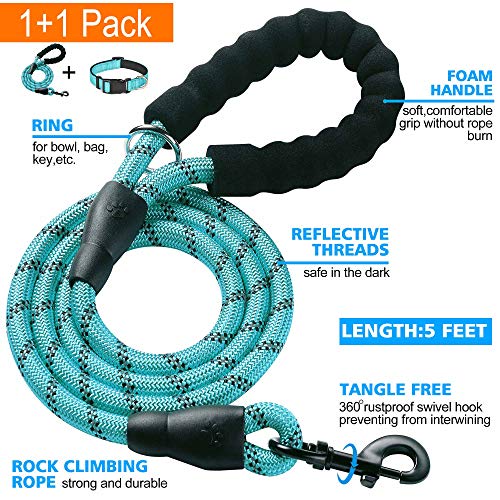 Reflective Neoprene Dog Collar - Medium, Blue