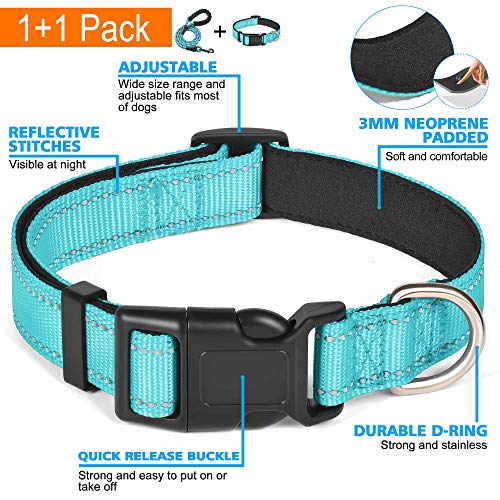 Reflective Neoprene Dog Collar - Medium, Blue
