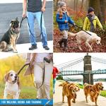 Padded Traffic Handle Dog Leash - Extra Control