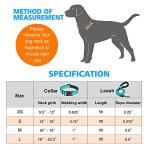 Reflective Neoprene Dog Collar - Medium, Blue