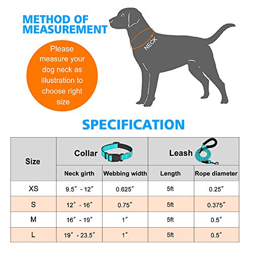 Reflective Neoprene Dog Collar - Medium, Blue