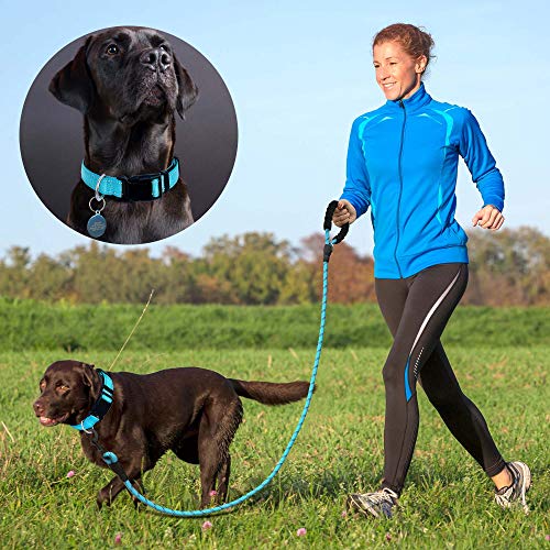 Reflective Neoprene Dog Collar - Medium, Blue