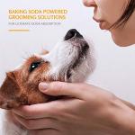 Odor-Eliminating Dog Shampoo | Kiwi Blossom Scent