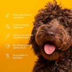 Odor-Eliminating Dog Shampoo | Kiwi Blossom Scent