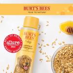 Burt's Bees Oatmeal Dog Shampoo | Moisturizing & Nourishing