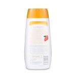 Arm & Hammer Ultra Fresh Dog Grooming Essentials