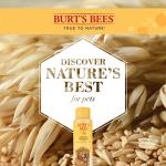 Burt's Bees Oatmeal Dog Shampoo | Moisturizing & Nourishing