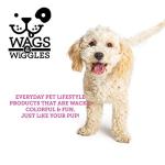 Warm Vanilla Oatmeal Dog Shampoo: Soothe Dry Skin!