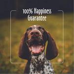Heavenly Scent Dog Shampoo for Itchy Skin - 16 oz