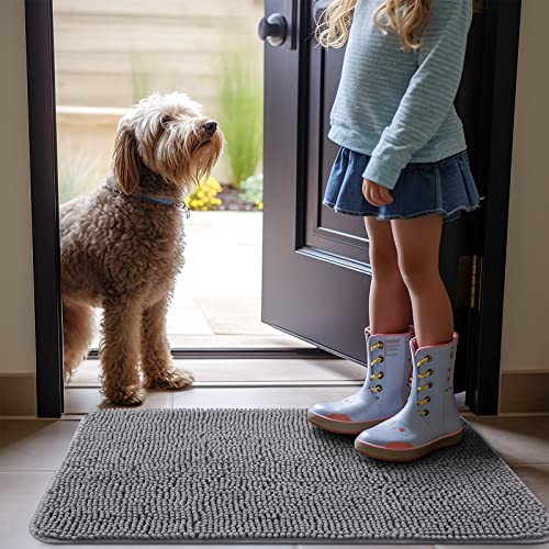 OLANLY Dog Door Mat: Absorbent, Non-Slip, Quick-Dry (30x20, Grey)