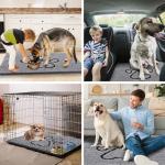 Dog Door Mat: Absorbent, Non-Slip, Washable, Quick Dry