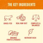 Stella's Freeze Dried Raw Dog Food - Super Beef Recipe