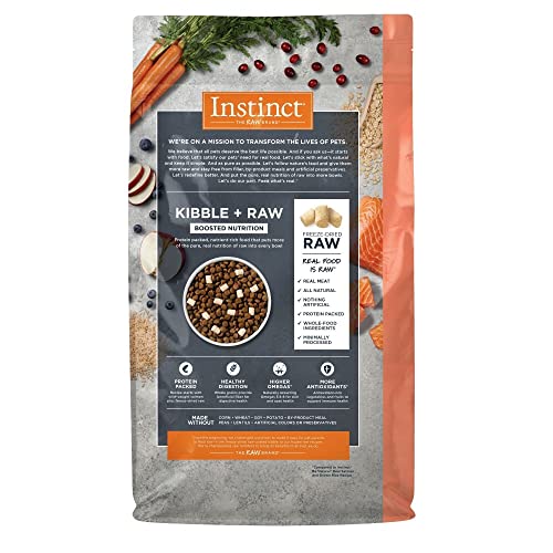 Raw Boost Salmon & Brown Rice Dog Food, 4.5 lb