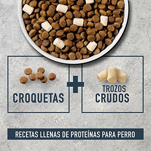 Raw Boost Salmon & Brown Rice Dog Food, 4.5 lb