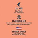 Raw Boost Salmon & Brown Rice Dog Food, 4.5 lb
