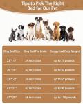 Ultra Soft Washable Dog Bed Mat for All Sizes