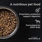 Diamond Naturals Beef & Rice Dog Food 40lb