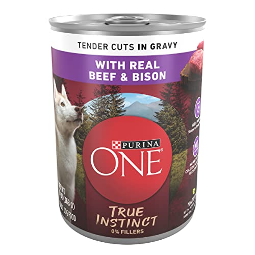 Purina ONE High Protein Beef & Bison Wet Dog Food