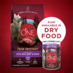 Purina ONE High Protein Beef & Bison Wet Dog Food