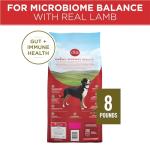 Purina ONE Lamb and Rice Dry Dog Food - 8 lbs