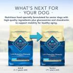 Blue Buffalo Adult Dry Dog Food, Chicken and Brown Rice 5-lb