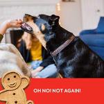 Grain-Free Soft & Chewy Beef Dog Treats