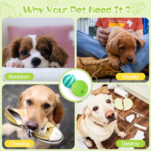2 Pack Interactive Dog Puzzle Toys