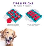 Interactive Dog Toy: Outward Hound Nina Ottosson Dog Brick