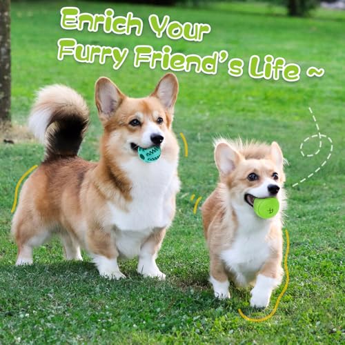 2 Pack Interactive Dog Puzzle Toys