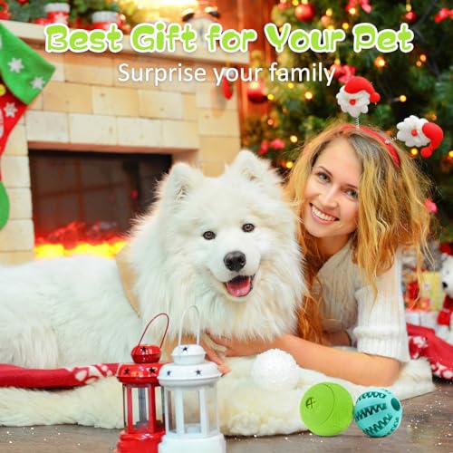 2 Pack Interactive Dog Puzzle Toys