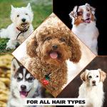 Wahl 4-in-1 Calming Pet Shampoo - Lavender Chamomile
