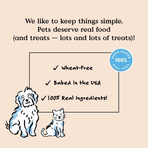 Bocce's Bakery Pumpkin Spice Dog Treats, 6 oz
