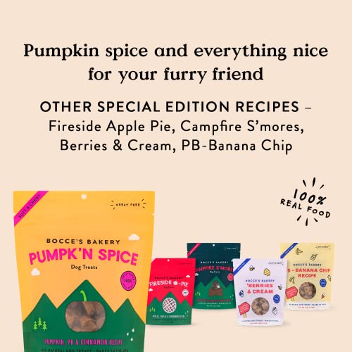 Bocce's Bakery Pumpkin Spice Dog Treats, 6 oz