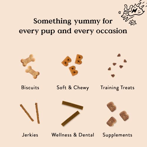 Bocce's Bakery Pumpkin Spice Dog Treats, 6 oz