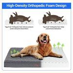 Orthopedic Dog Bed with Plush Foam Support