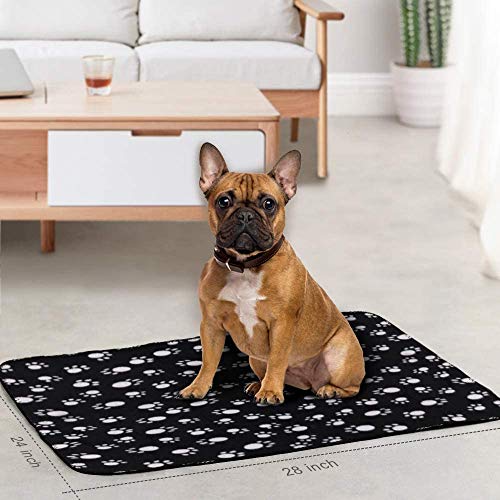 6 Pack of 24x28 Inches Paw Print Blanket