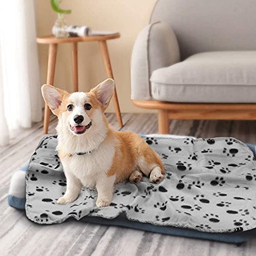 6 Pack of 24x28 Inches Paw Print Blanket