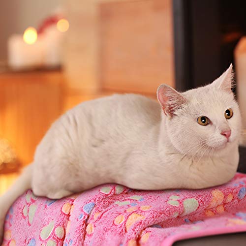 Pet Paw Print Fleece Blankets for Dogs