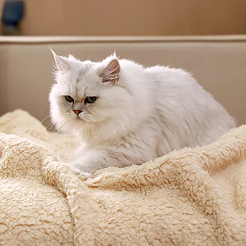 Luciphia Cozy Sherpa Dog Blanket for Small Pets