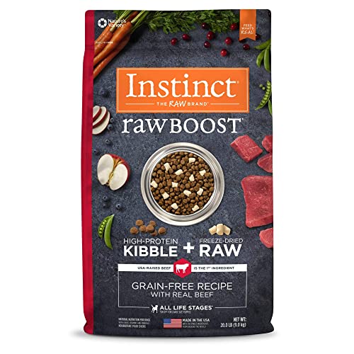 Grain-Free Beef Dog Food: High Protein, 20 lb