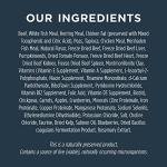 Grain-Free Beef Dog Food: High Protein, 20 lb