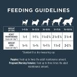 Grain-Free Beef Dog Food: High Protein, 20 lb