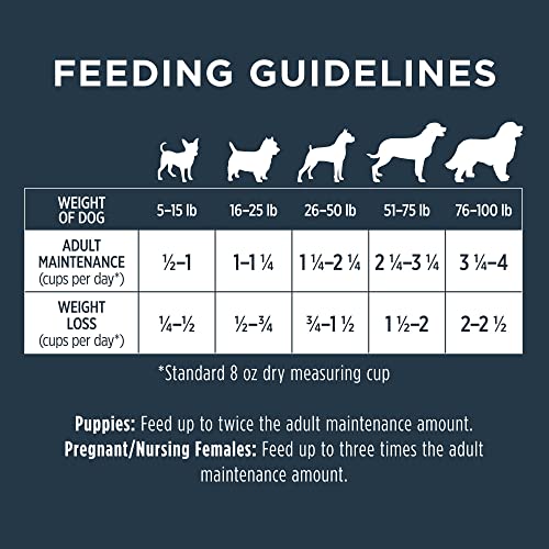 Grain-Free Beef Dog Food: High Protein, 20 lb