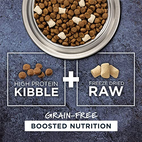 Grain-Free Beef Dog Food: High Protein, 20 lb