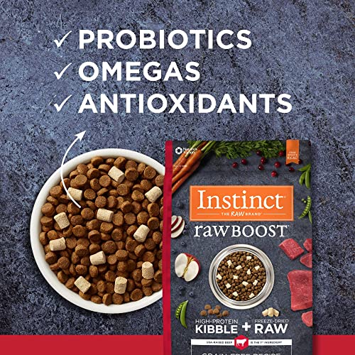 Grain-Free Beef Dog Food: High Protein, 20 lb