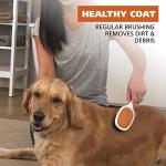 Wahl Double Sided Pet Brush - Model 858501