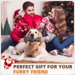 Super Durable Nylon Teeth Cleaning Toy for Large Dogs
