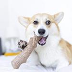 Large Dogwood Alternative Chew Toy for Dogs