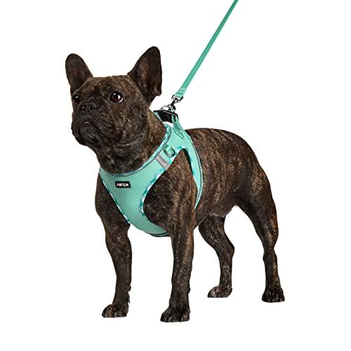 Adjustable Reflective Dog Harness with Leash Set (Green)