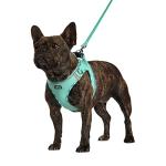 Adjustable Reflective Dog Harness with Leash Set (Green)